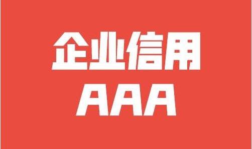 网站开发的流程